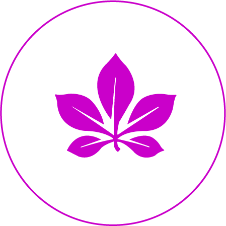 Egy lila ikon a Masszázs Varázs trigger pont terápiájáról.